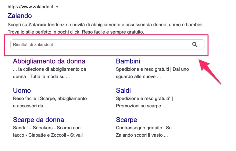 Articolo Rich Snippet 2